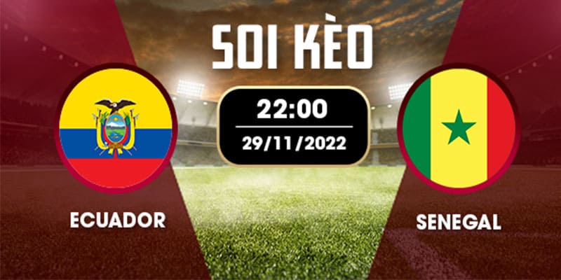 Cùng W88 nhận định soi kèo Ecuador vs Senegal, 22h ngày 29/11/2022